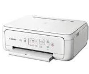 ���� TS5151 ͼƬ